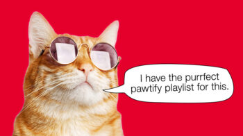Cat wearing sunglasses looking upwards on a red background. Copy reads “I have the purrfect pawtify playlist for this.”